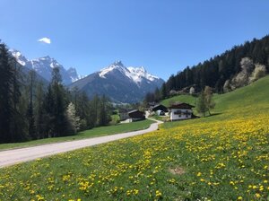 [Translate to Englisch (en):] Frühling im Stubaital